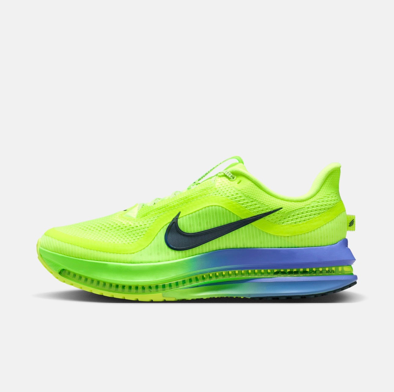 Nike Pegasus Premium