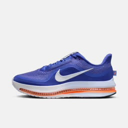 Nike Pegasus Premuim Shoes Men
