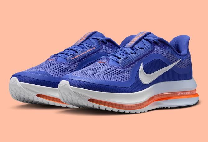 Nike Pegasus Premuim Shoes Men