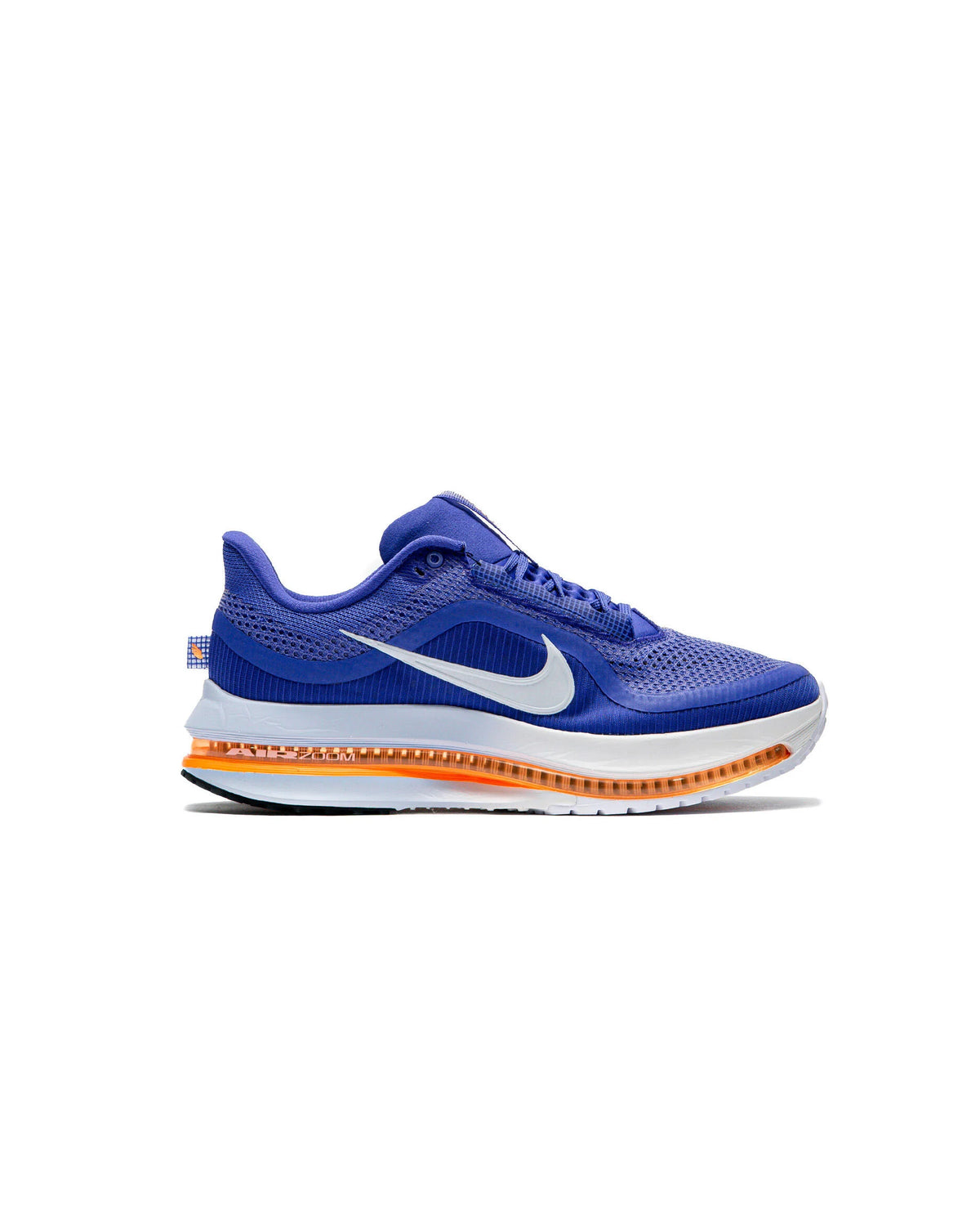 Nike Pegasus Premuim Shoes Men